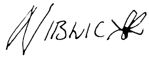 Niblic